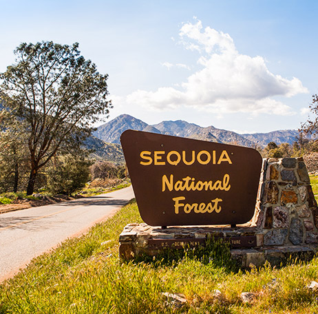 The Kern River House in California's Sequoia National Forest