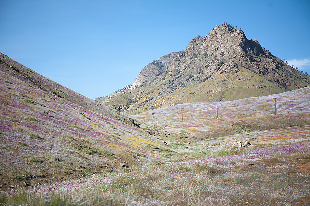 The Kern River Valley during spring wildflower season