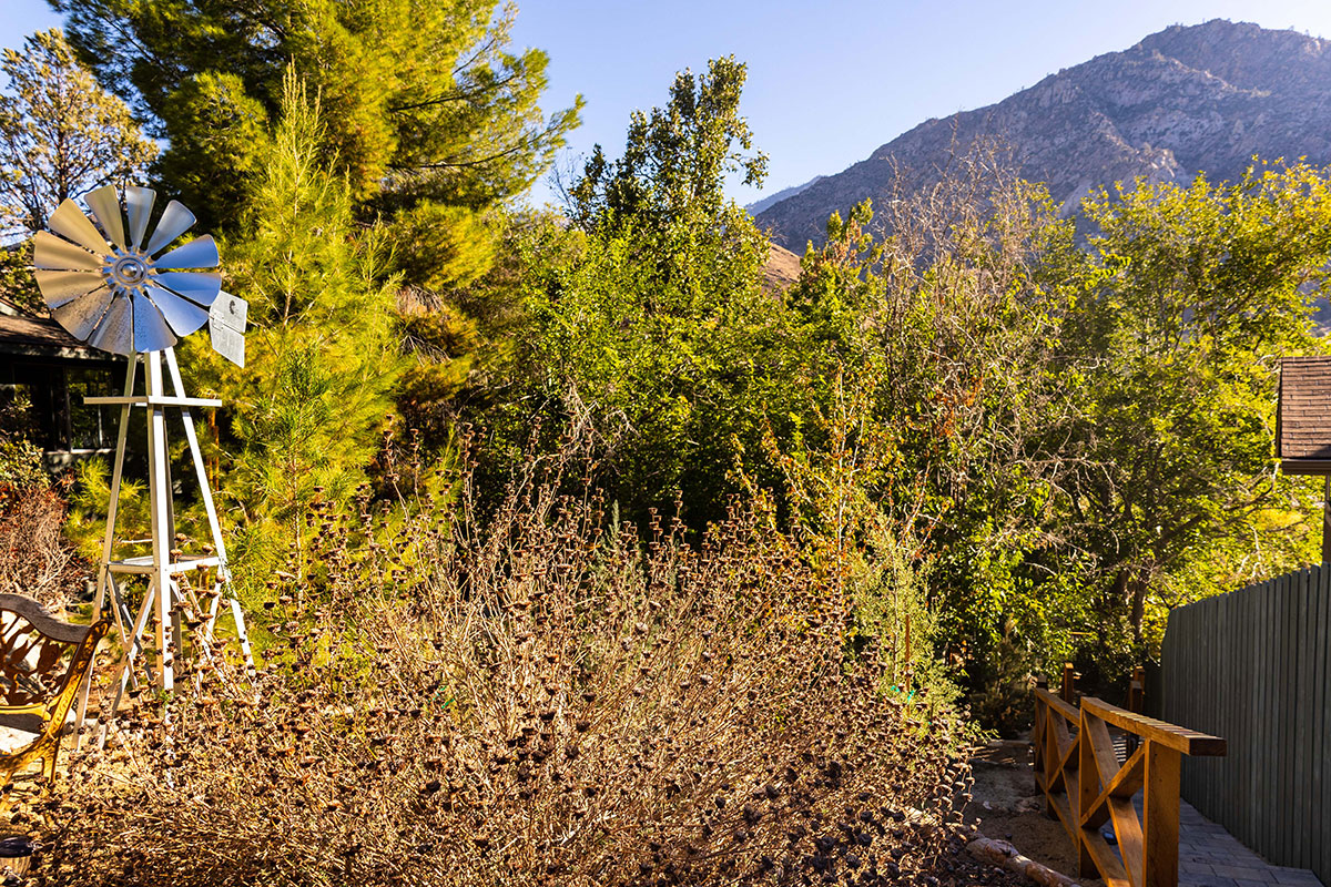 California Native Plant Gardens