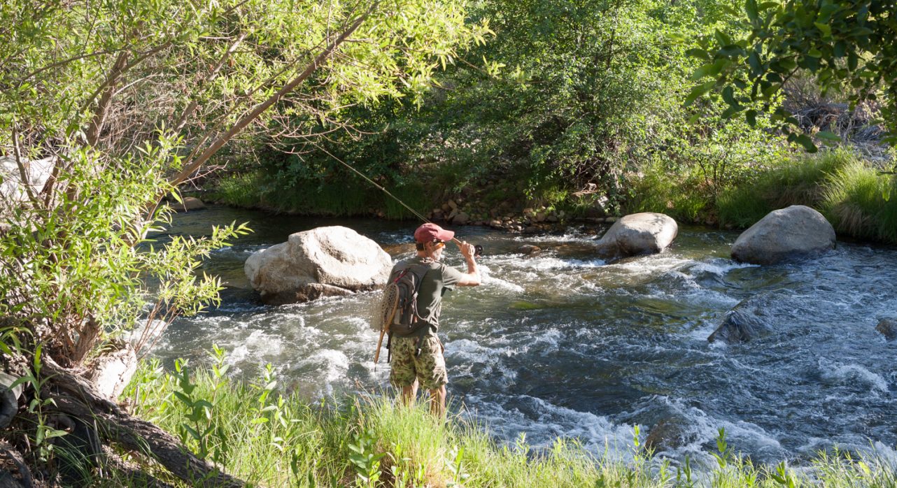 29-River-Willow_Riverfront