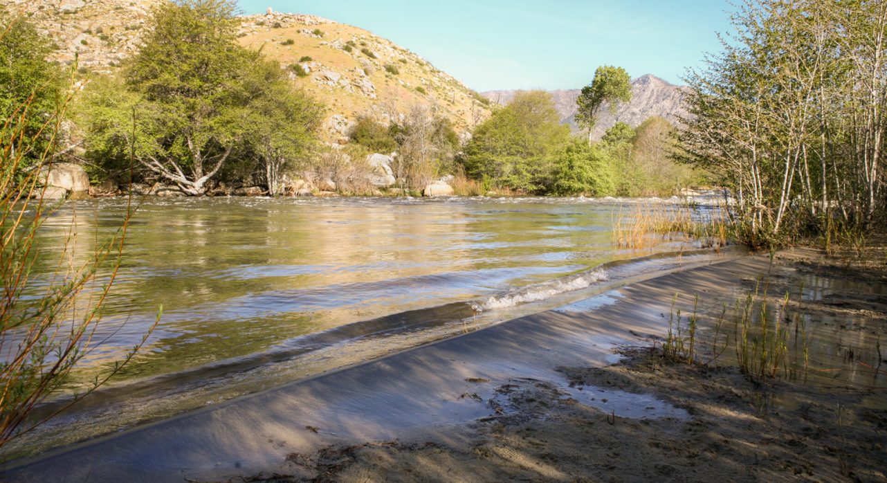 30-River-Willow_Bubbles-Beach-scaled