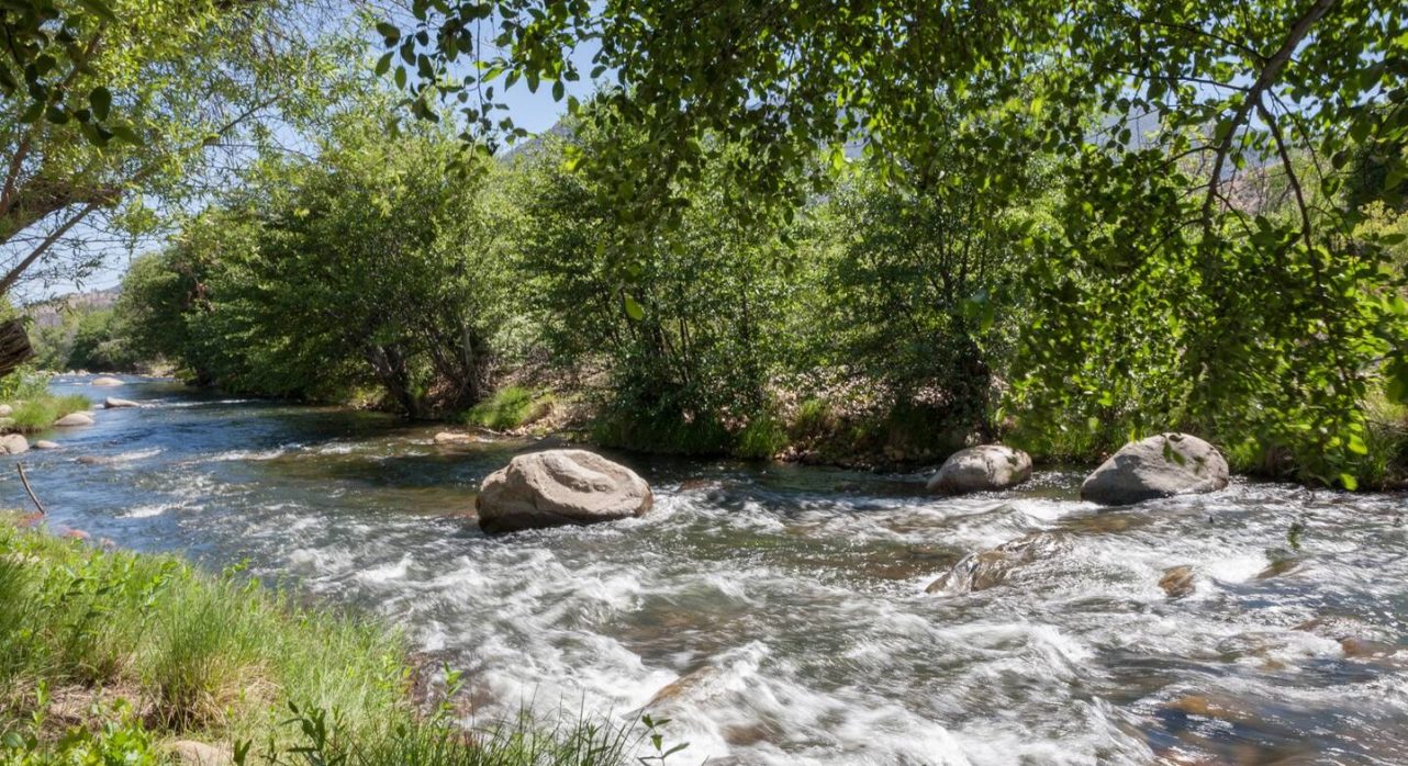 31-River-Willow_Riverfront